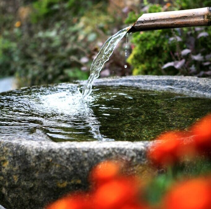 Adrenal Glands » Your Body’s Secret Powerhouses: The Adrenal Glands!…