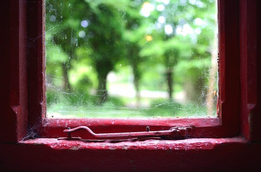 Agoraphobia » Feeling Trapped: What Is Agoraphobia? TL;DR: Agoraphobia Is…