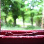 Agoraphobia_and_Drylands-1024×682-1