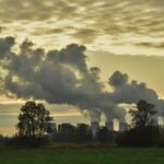 Ailurophobia_and_Climate-change-mitigation-and-adaptation-policies-1024×633-1