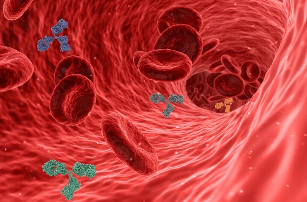 Arteries: TL;DR – A Quick Peek At Arteries Arteries Are…