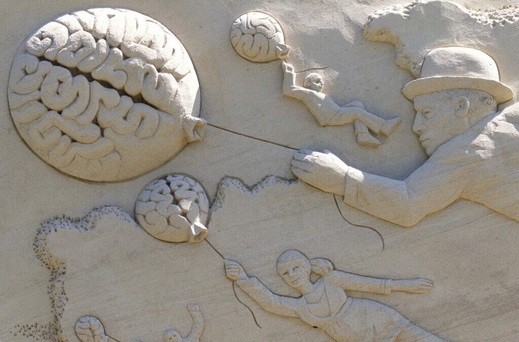 Brain: Your Amazing Brain: A Journey Inside Your Head TL;DR:…