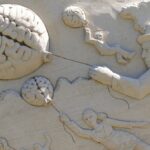 Brain_and_28.-Great-Salt-Lake-Brine-Fly-1024×682-1
