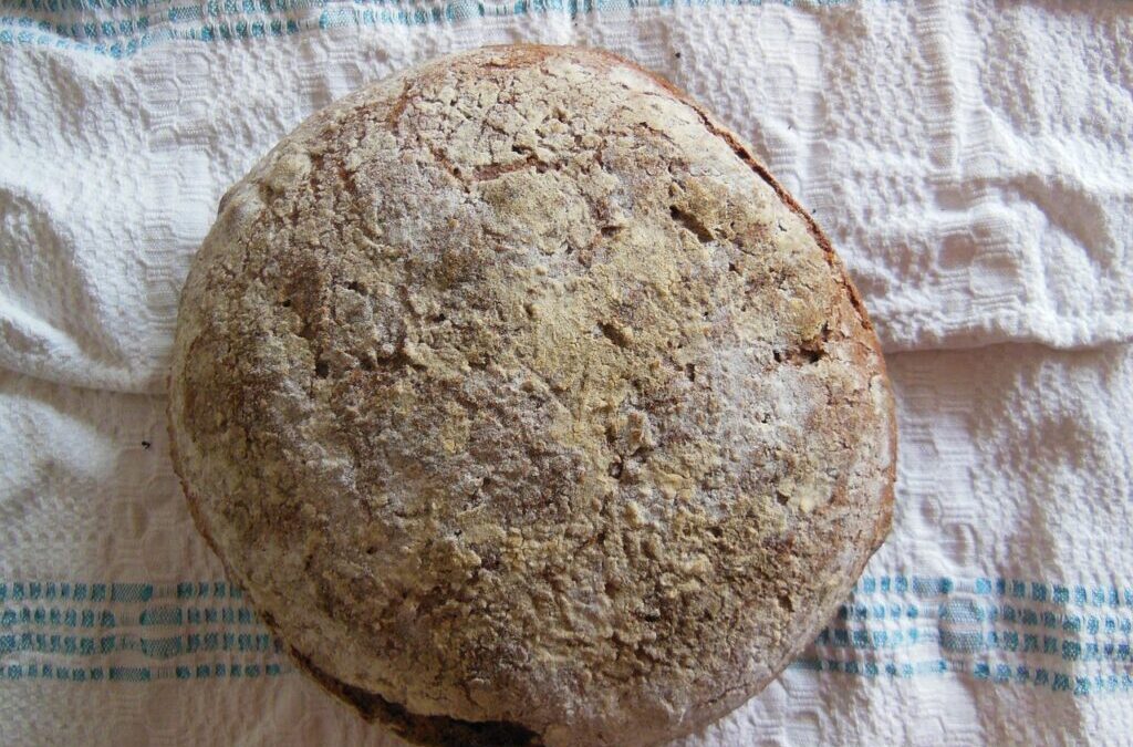 Bread (whole Wheat, Sourdough) / The Flavor Revolution: Elevate Your…