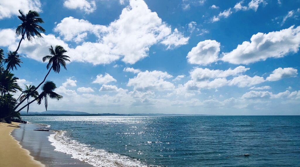 Caribbean – Dive Into The Caribbean: A Colorful World Of…