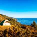 Cirneco-dellEtna_and_Leave-no-trace-camping-1024×682-1