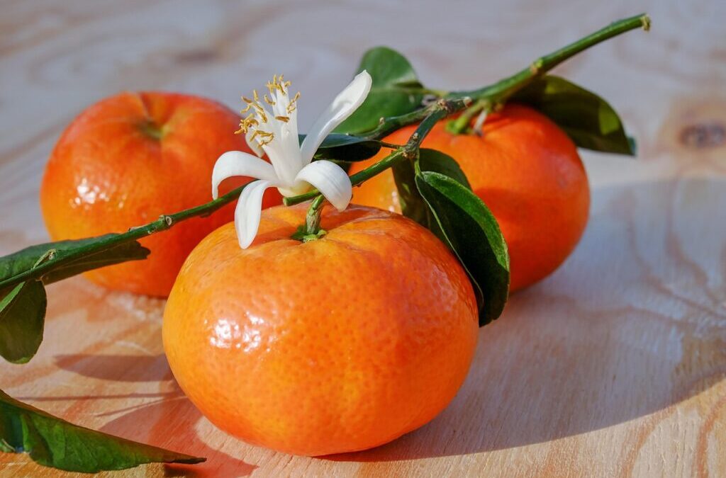 Citrus Fruits – The Zesty World Of Citrus Fruits In…