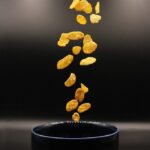 Corn-oil_and_Regulatory-reform-682×1024-1