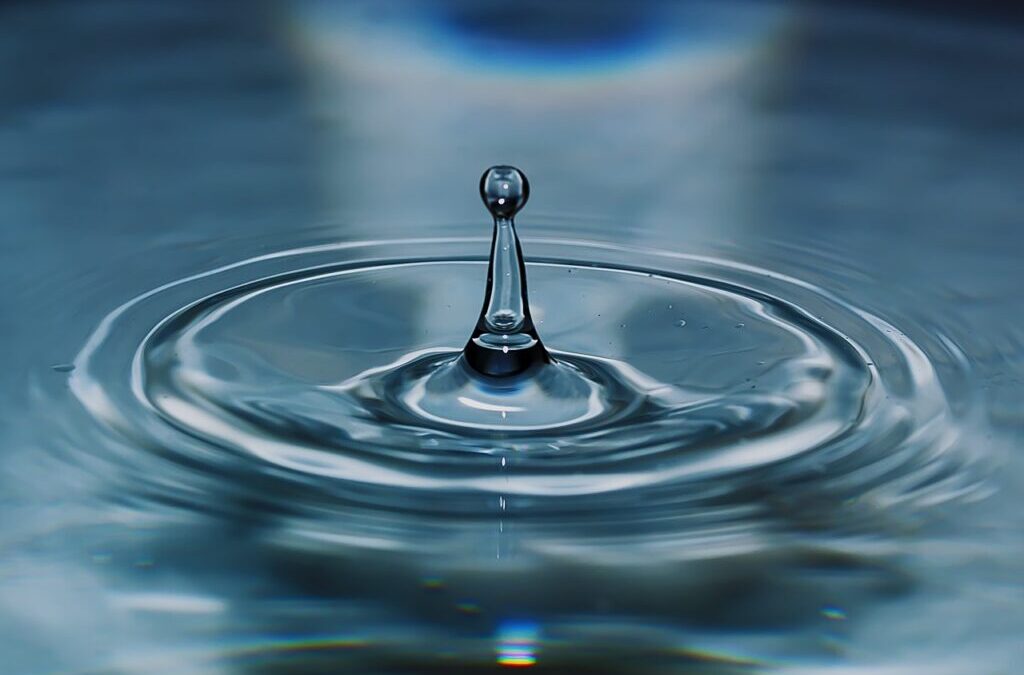 Current State Of The Lake And The Impact Of Water…