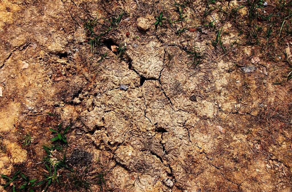 Drought Relief Initiatives » Saving Our Land: A Water Network…