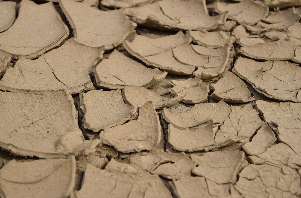 Drought Relief Initiatives » Thirsty? The National Water Network Has…