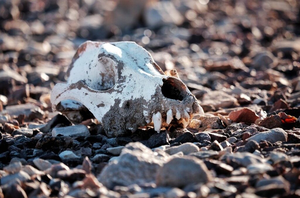 Drought Solutions – Drought-Proofing The West: A Bold Plan For…
