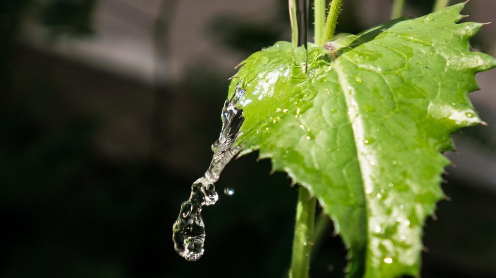 Efficient Irrigation Systems For Farms | The Great Salt Lake:…