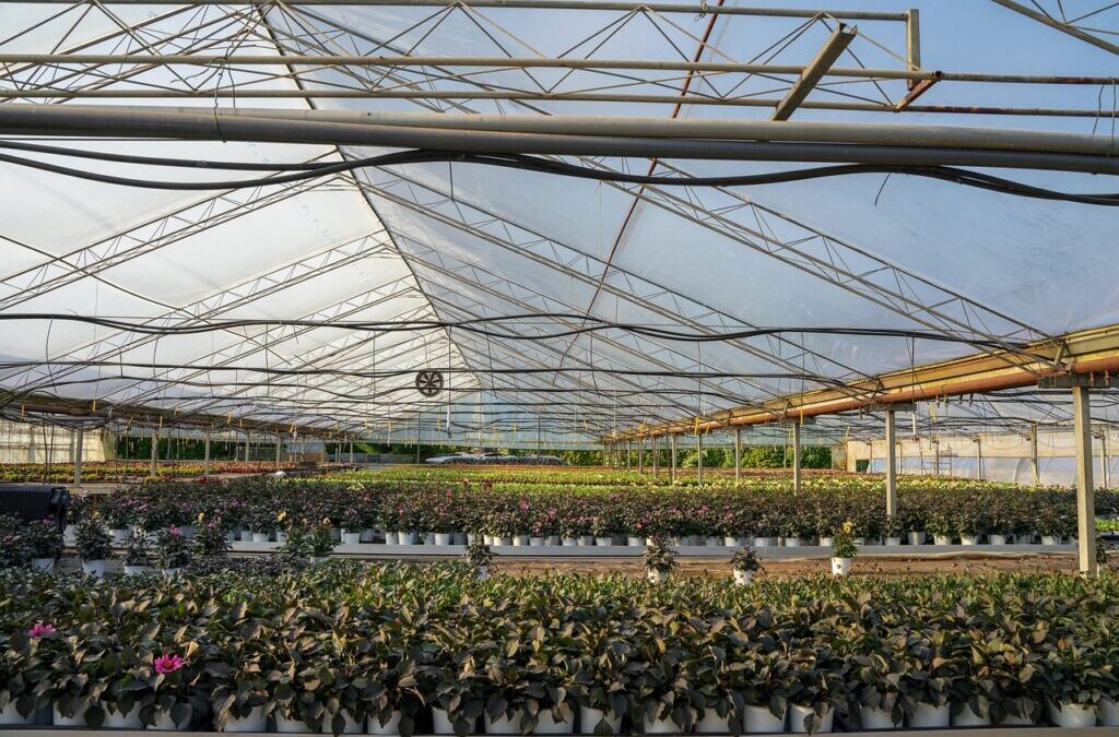 Efficient Irrigation Systems For Farms ~ 💦 The Great Basin:…