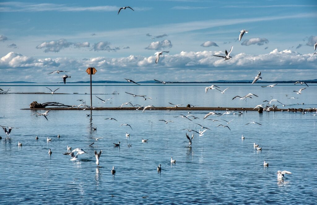 Fixing Great Salt Lake Water Levels / The Great Salt…