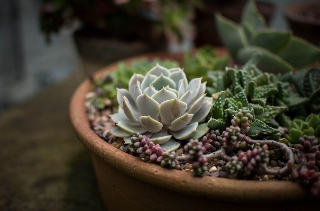 Gardening ~ Dig In! Your Guide To Gardening Fun! Are…