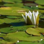 Genderfluid_and_Community-based-water-stewardship-1024×661-1