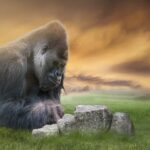 Gorilla_and_Coast-Guard-boating-safety-tips-1024×731-1