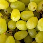 Grape_and_Floral-Scents-1024×681-1