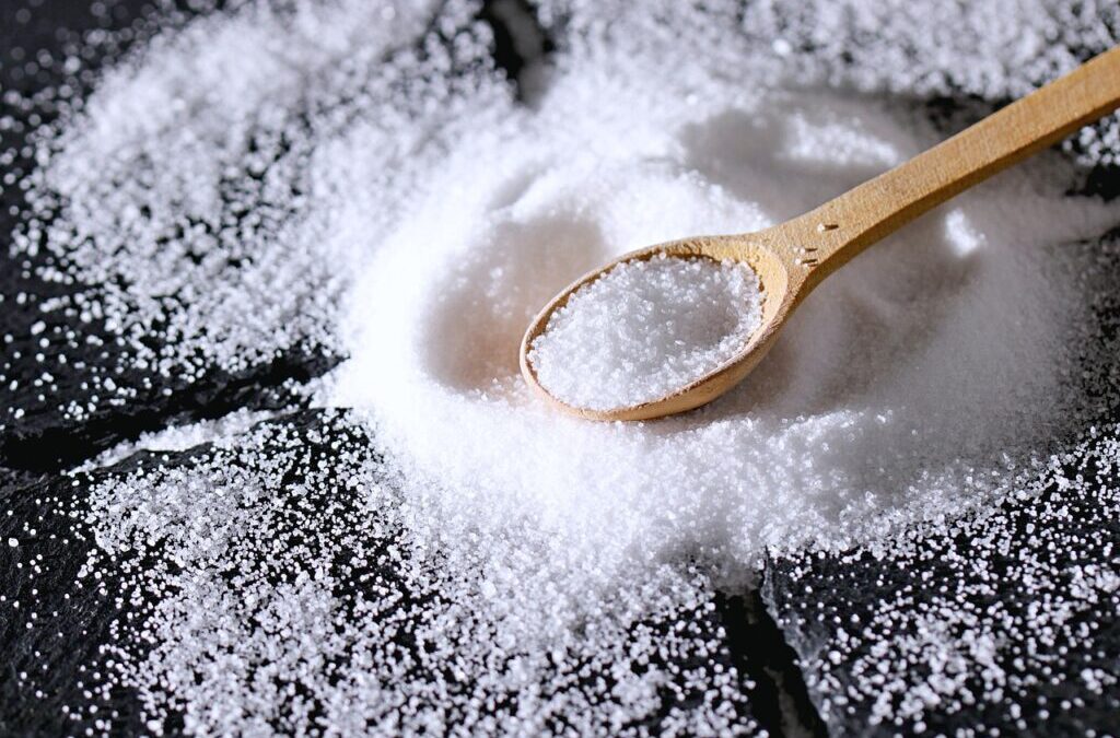 Great Salt Lake Advocacy And Activism » Our Salty Friend…