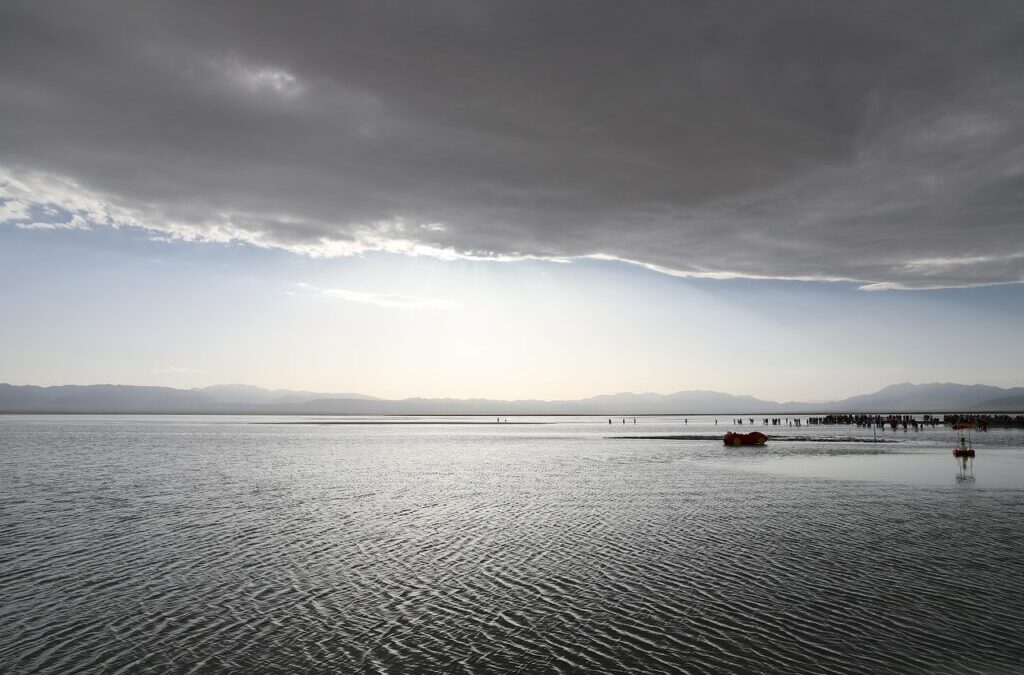 Great Salt Lake Dust Control Measures: The Green Solution: How…