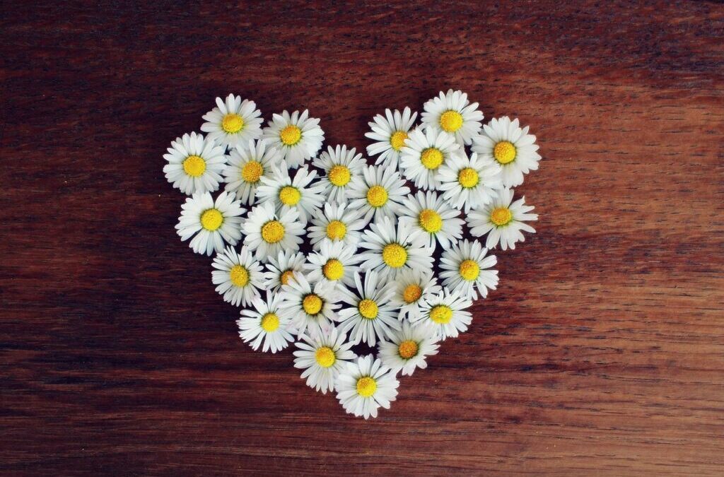 Heart ~ Your Heart: A Powerful Pump! TL;DR – Your…