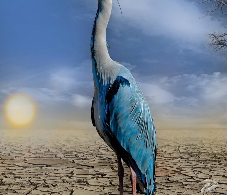 Impact Of Climate Change On The Great Basin Region ~…