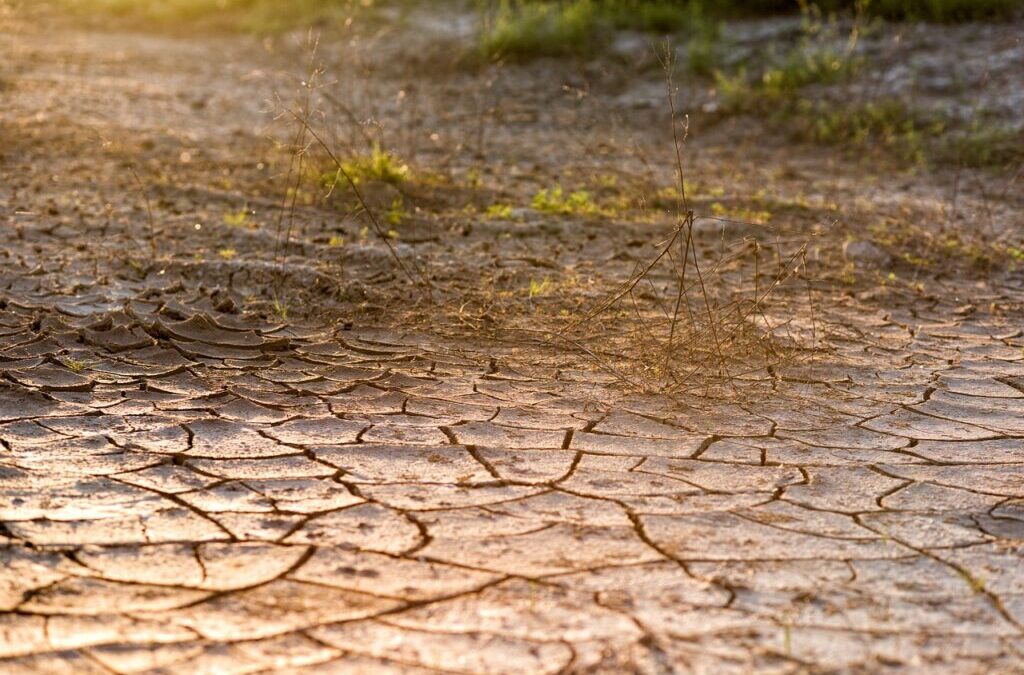 Impact Of Drought On Laguna Salada Hydrology – The Drying…