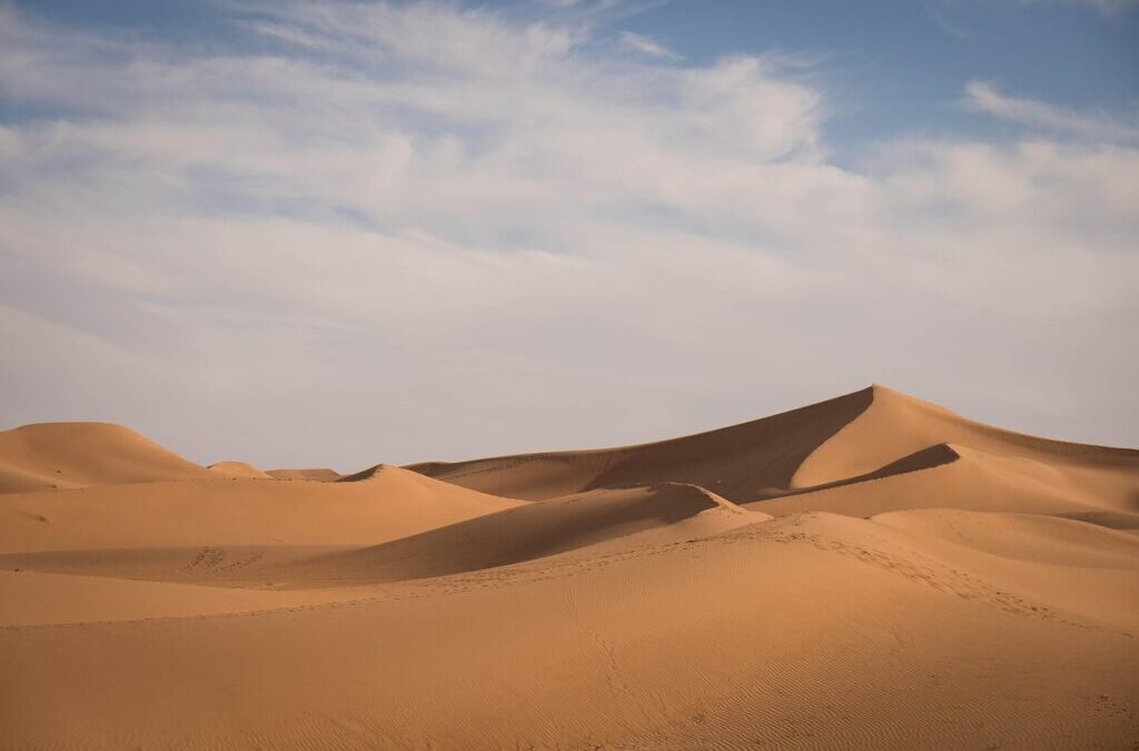 Innovative Solutions To Stop Lake Drought ~ The Secret Life…