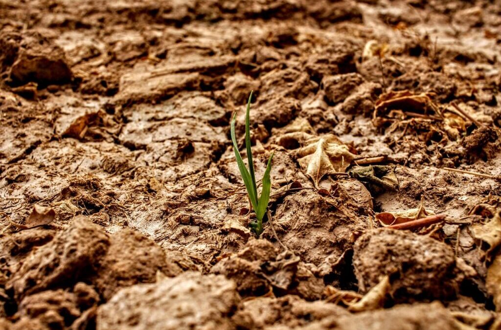 Lake Drought And Climate Change / Lakes In Trouble: Climate…