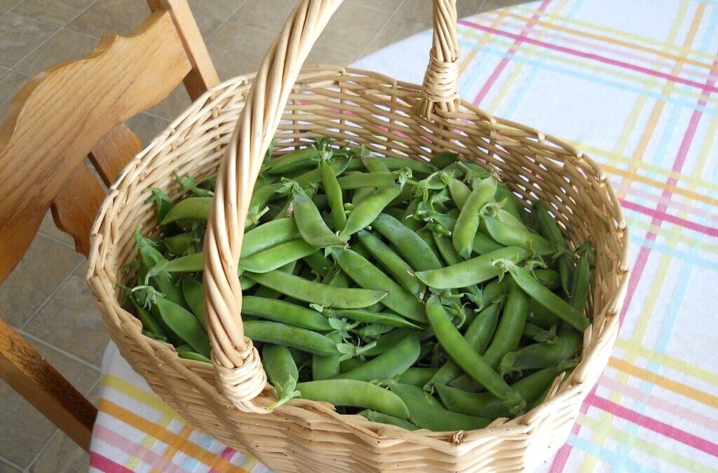 Legumes And Pulses » Spice Up Your Culinary Adventures With…