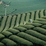 Members-of-the-European-Parliament-MEPs_and_Water-markets-for-agriculture-1024×682-1