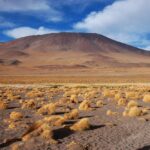 Nomophobia_and_Laguna-Salada-recovery-1024×667-1