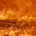 Orange_and_Easy-curry-1024×683-1
