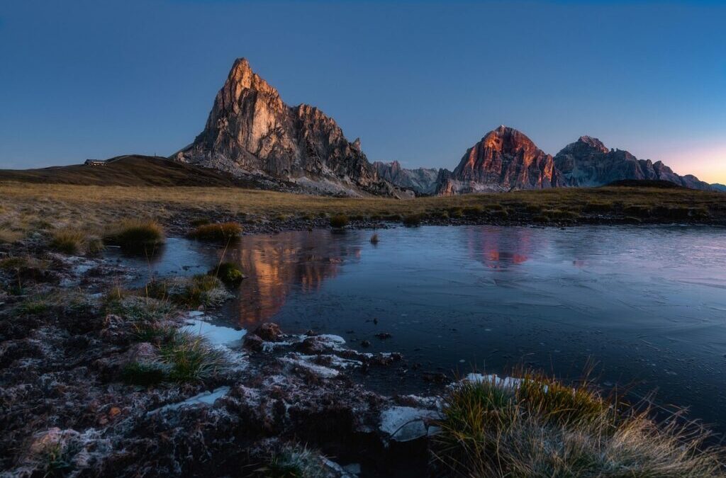 Ponds ~ Dive Into The World Of Ponds! TL;DR -…