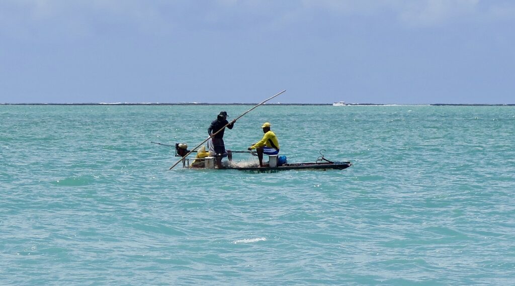 Rafting / Get Your Paddles Ready: Rafting Adventures Await! TL;DR…
