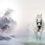 Raised-by-Wolves_and_FREE-Adventures-for-US-Veterans-1024×579-1