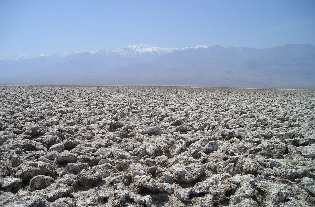 Reducing Water Use To Save The Great Salt Lake »…