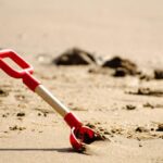 Scapula_and_General-1024×678-1