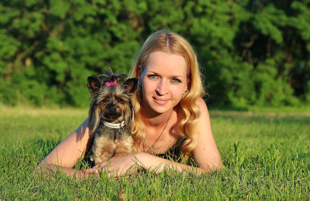 Scottish Terrier: Meet The Scottish Terrier: A Loyal And Spirited…