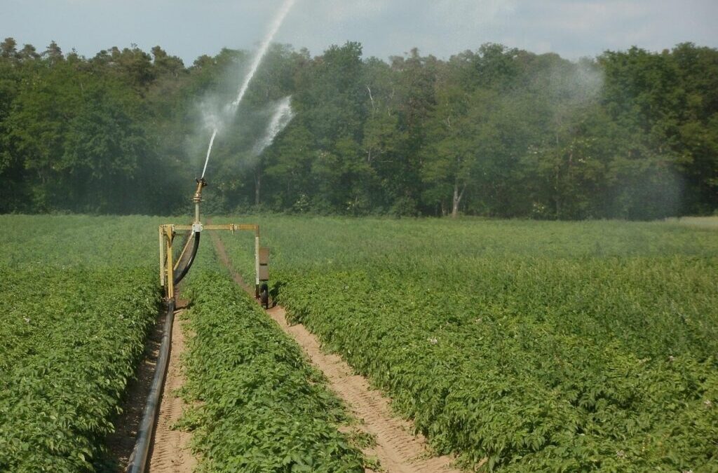 Smart Irrigation Technology For Agriculture » The Great Salt Lake:…