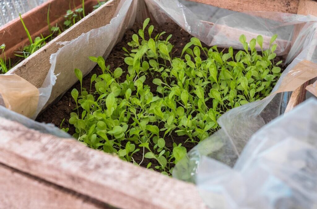 Special Herbaceous And Spicery Blends | Summer Spice Up: Unlocking…