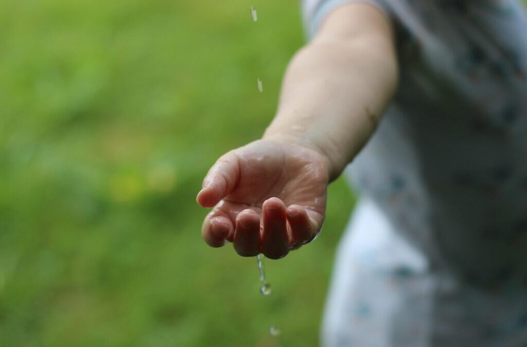 Stop Lake Drought With Sustainable Solutions / Saving Our Salty…