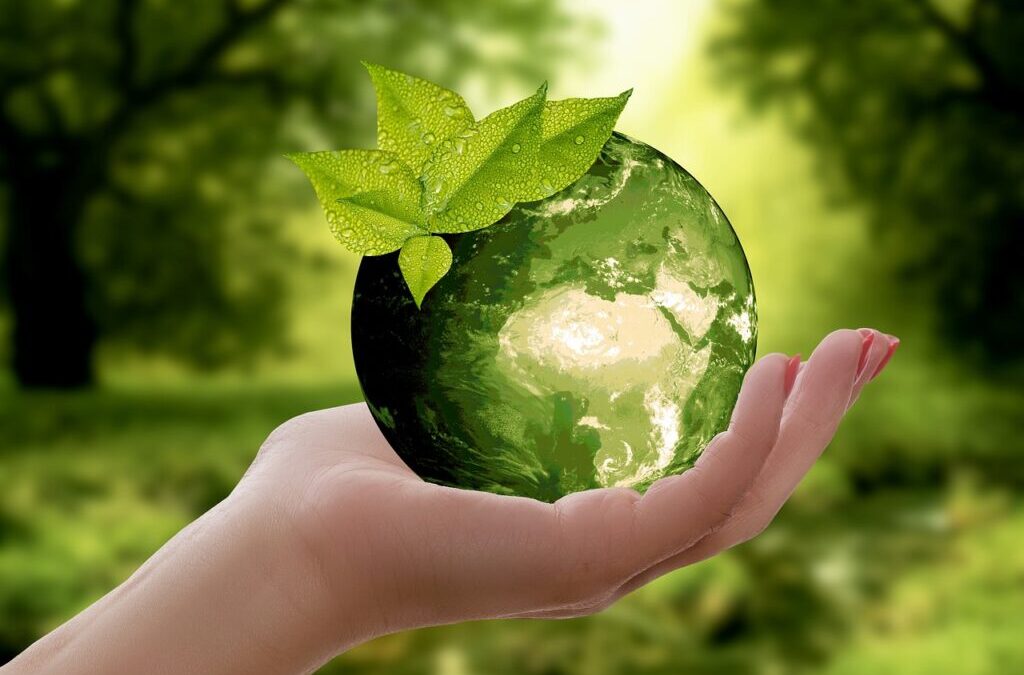 Sustainable Water Usage Practices ~ Thirsty Desert: The Great Basin’s…