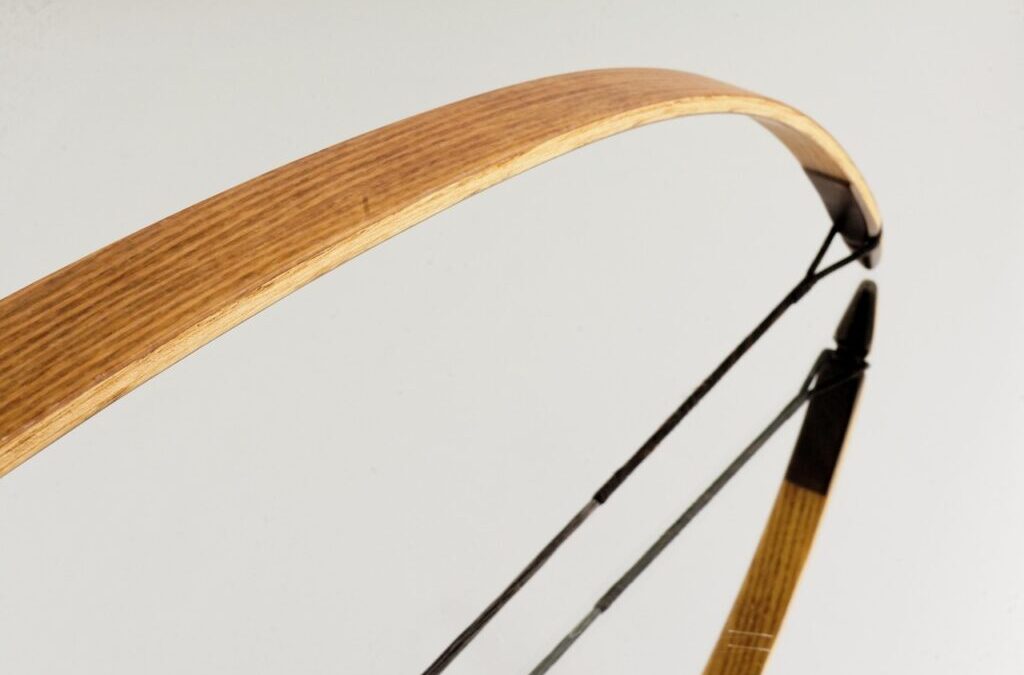 Tendons » Your Body’s Amazing Connectors: Tendons TL;DR – Too…