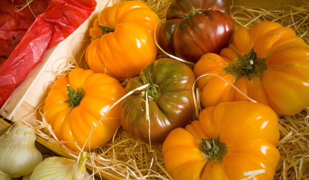 Vegetables » Spice Up Your South Dakota Garden! TL;DR: South…