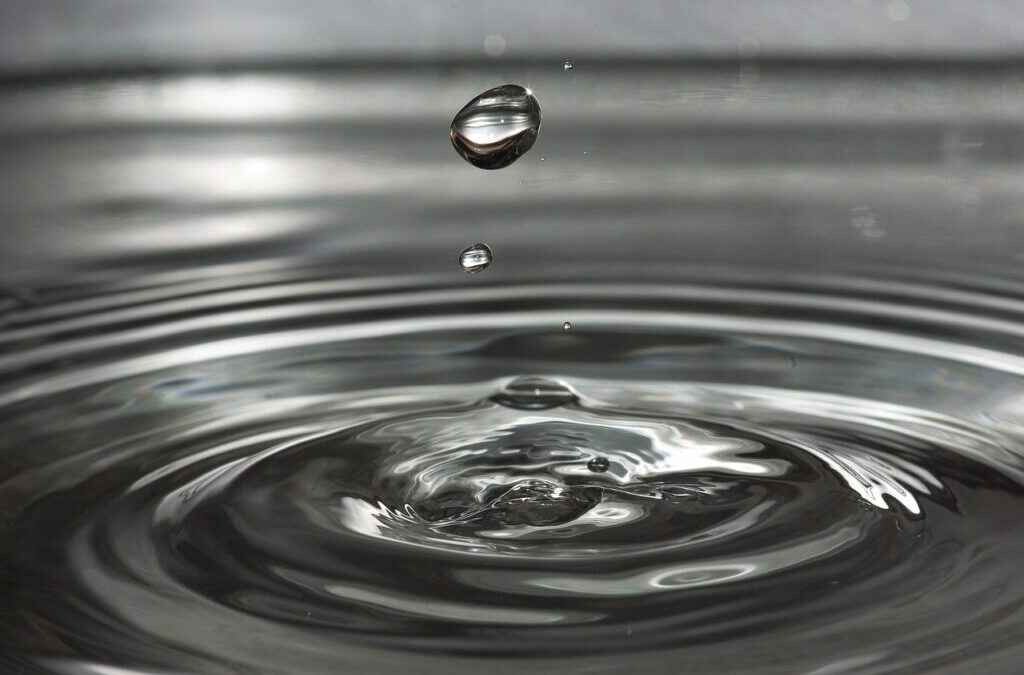 Water Shortage ~ The Great Salt Lake: A Thirsty Story…