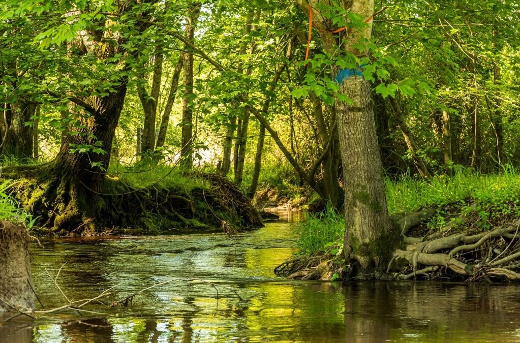 Water Conservation Technology » Drought Buster: A Bold Plan To…
