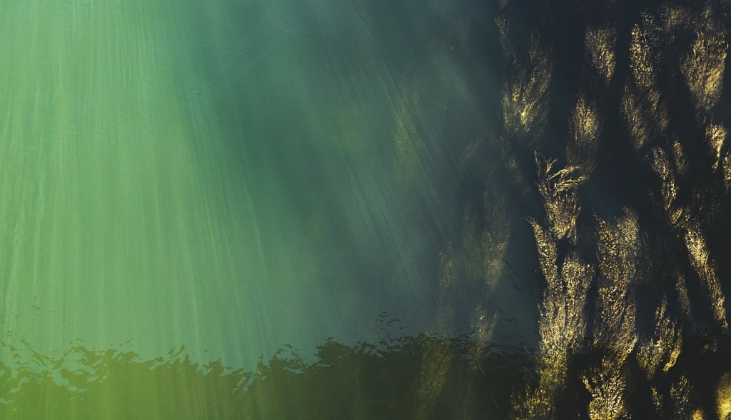 Water Crisis Solutions | Drought Got You Down? The National…