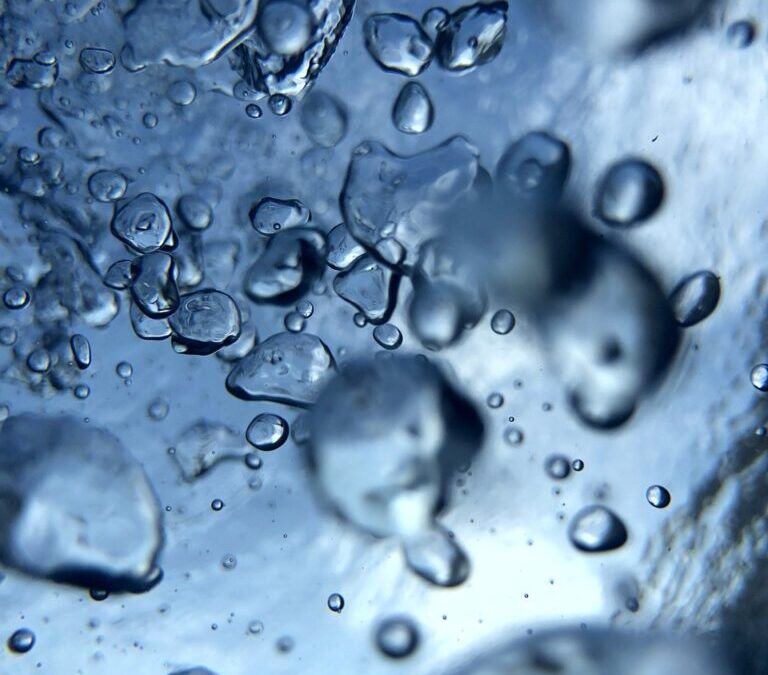 Water Cycle Reclamation Technology ~ The Green Connection: How Plants,…